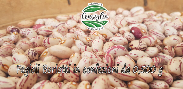 Fagioli Borlotti legumi secchi da coltivazioni proprie 100% naturali Italia 1Kg