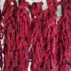 Peperoni secchi Cruschi insertati collana eccellenza Lucana 1 kg non fritti