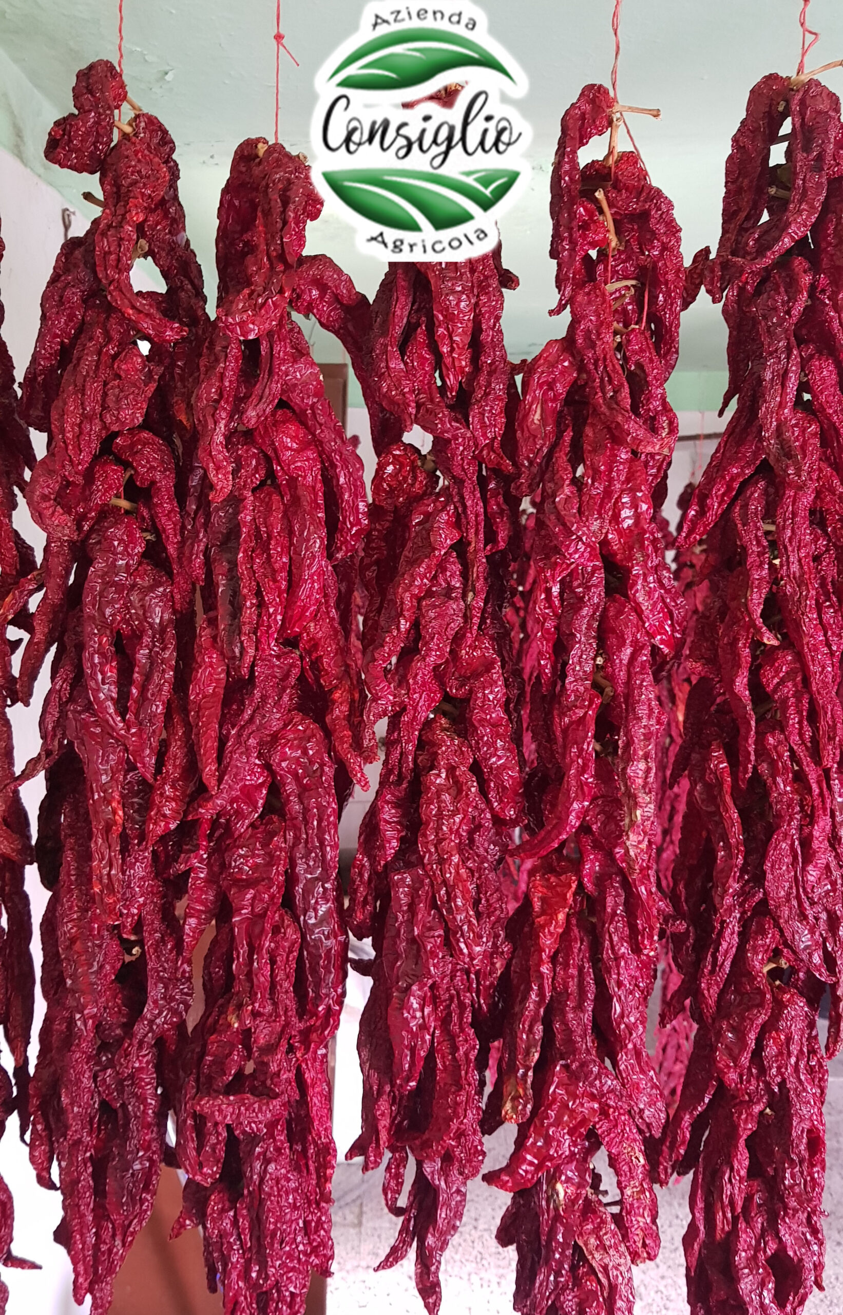 Peperoni secchi Cruschi insertati collana eccellenza Lucana 1 kg non fritti
